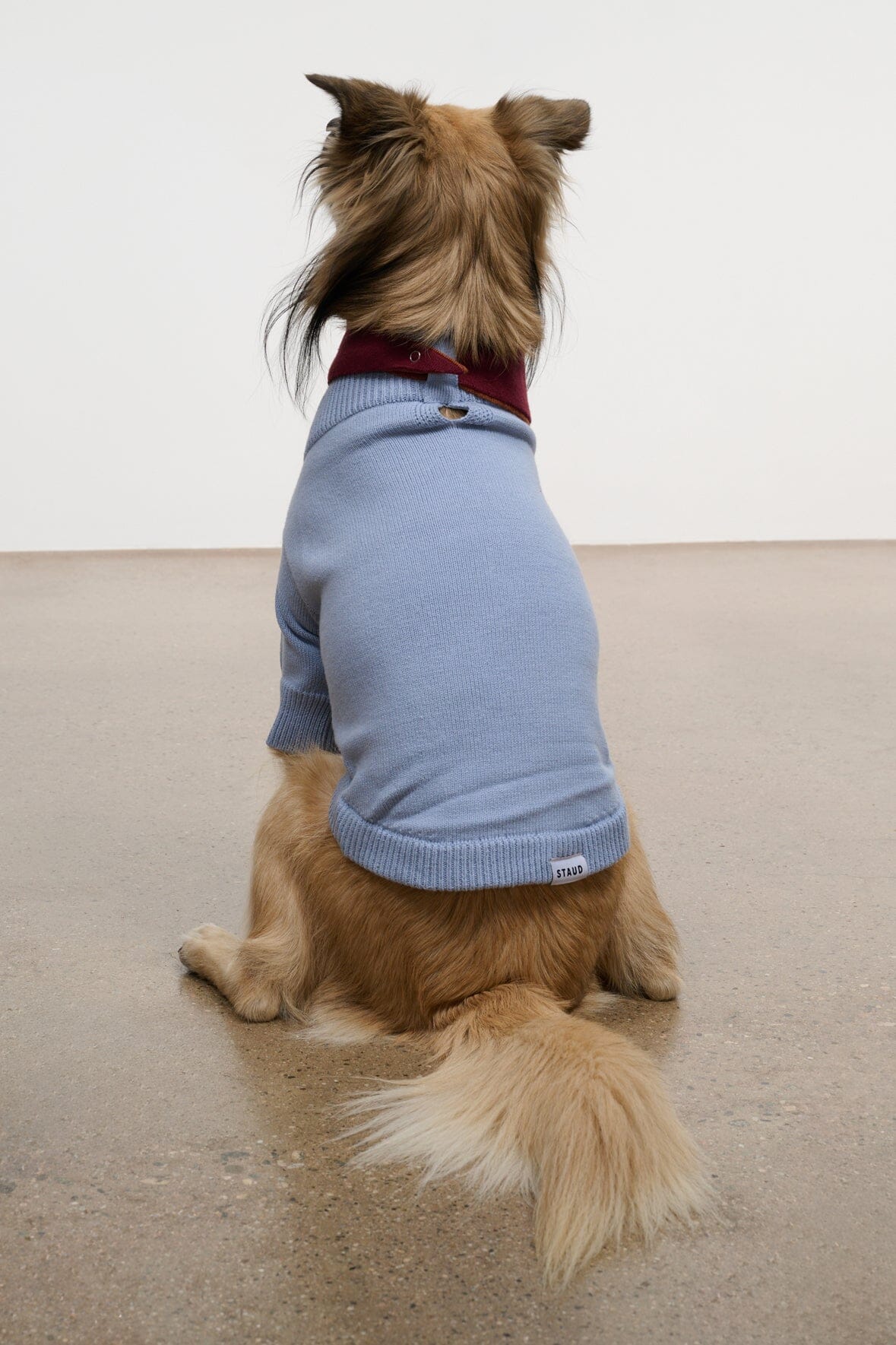 Pet Winston Sweater | Powder Blue Multi