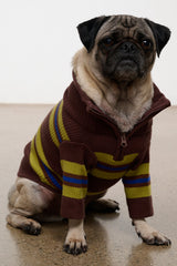 Pet Hampton Sweater | Nightowl Stripe