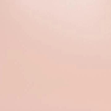 Mini Shirley Leather Bag | Blush