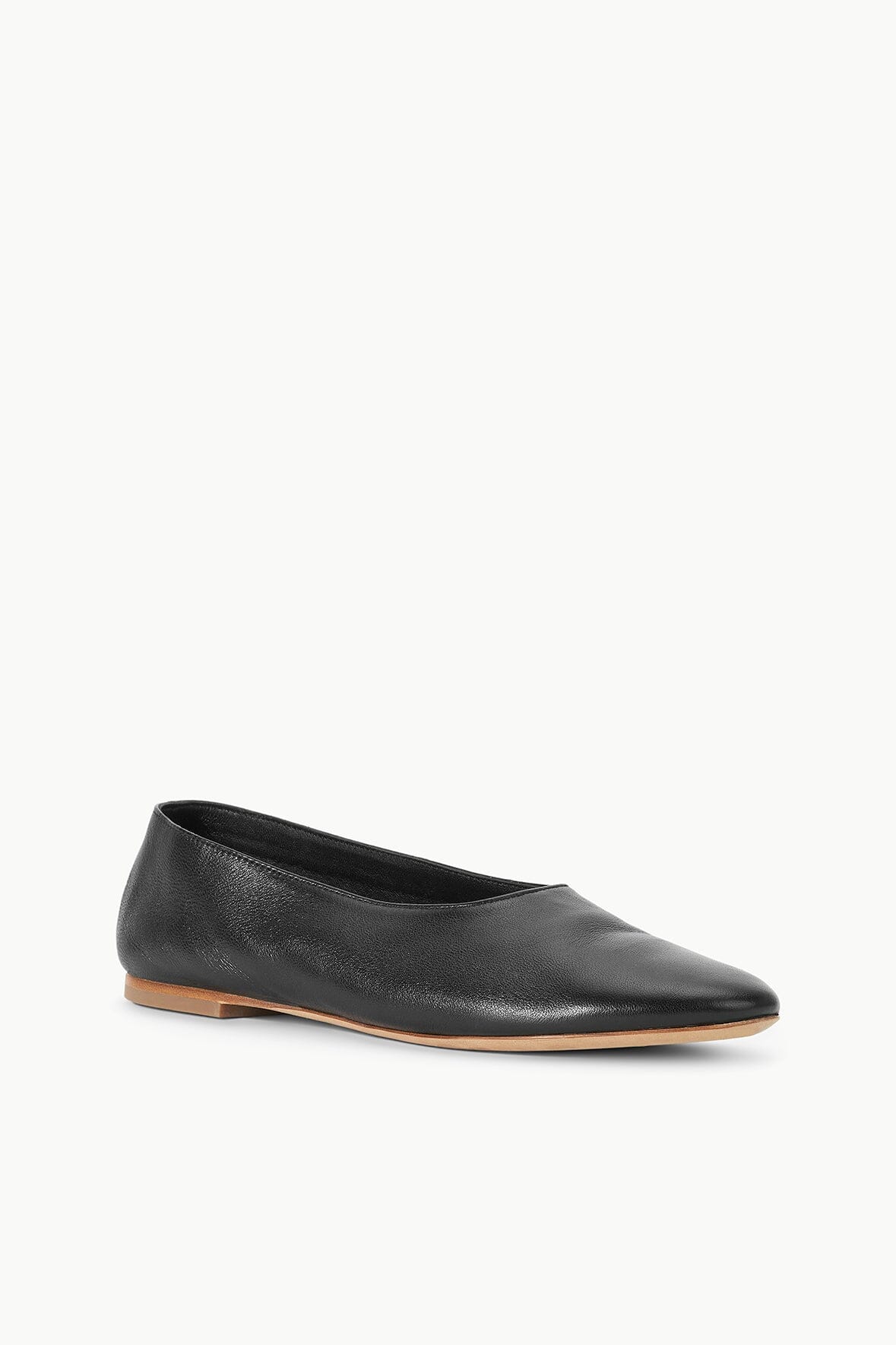 Alba Ballet Flat | Black